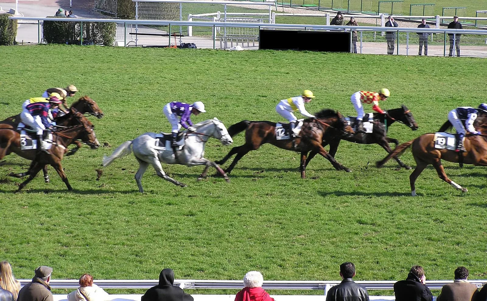 Hippodrome d'Auteuil, où se court le Grand Steeple-Chase de Paris