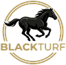 Logo BlackTurf