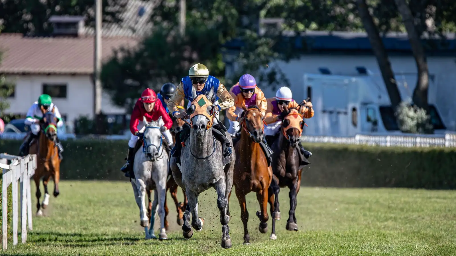 Peloton de galopeurs de face dans la ligne droite, casaques rouge, or, violette et orange.